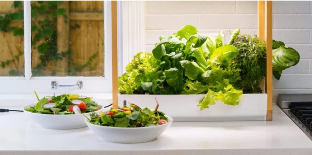 self-watering smart indoor garden 25 days of christmas gift ideas for wife