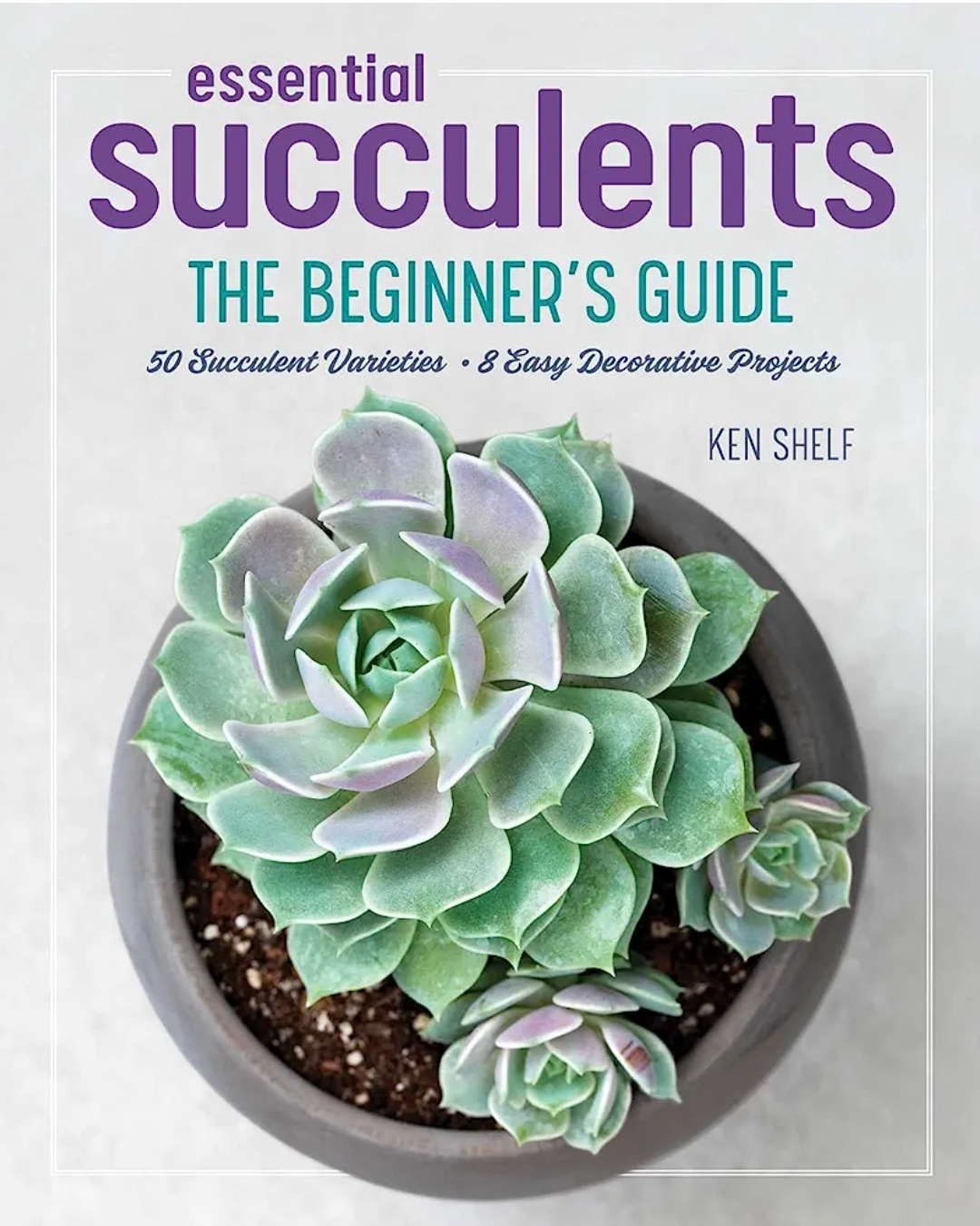 Ken Shelf's Essential Succulents The Beginner's Guide last minute christmas gifts for her