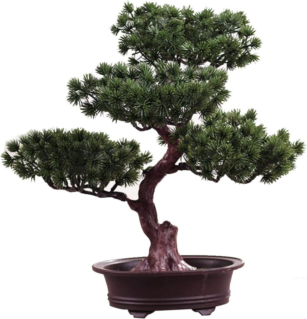 bonsai plant christmas gifts for a female boss who has everything