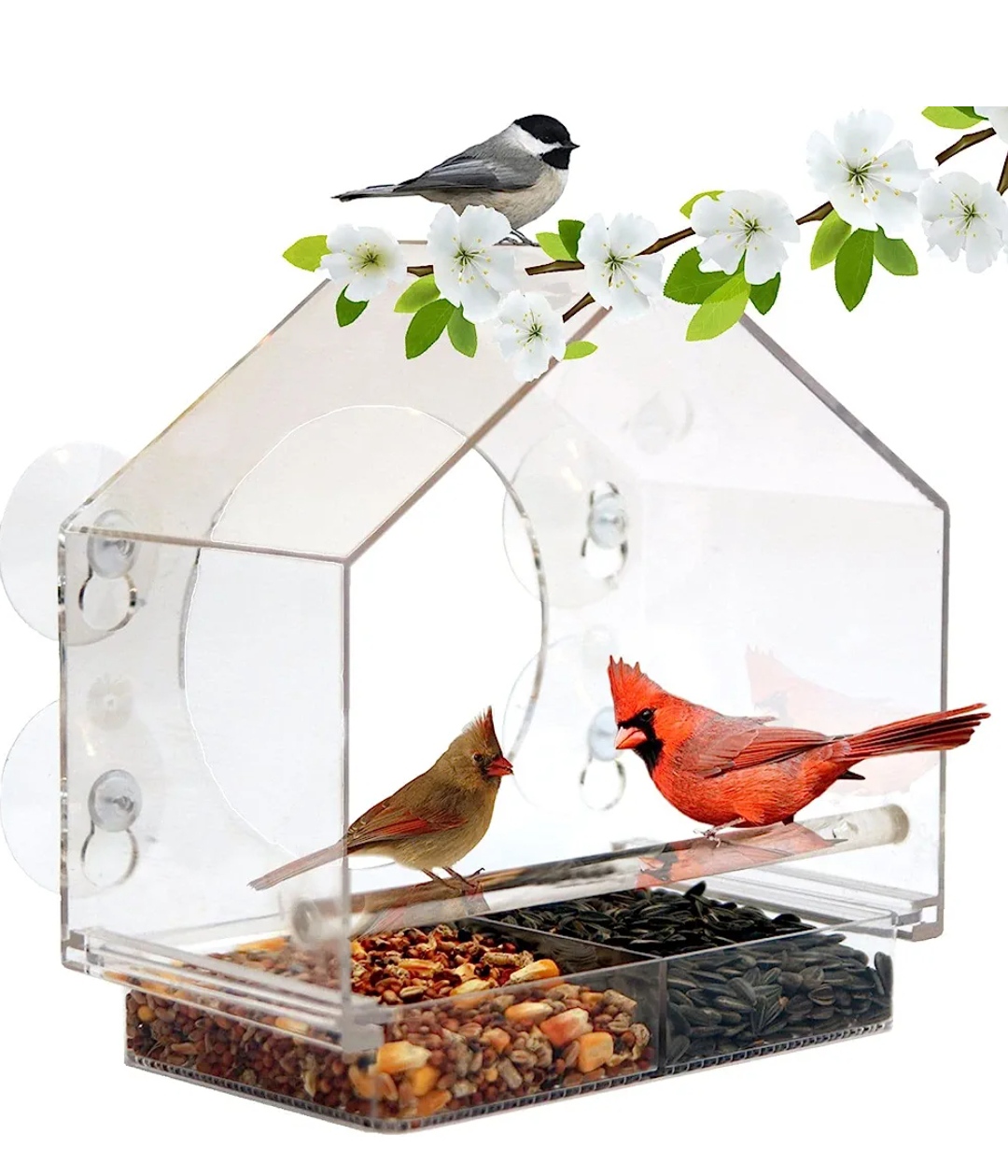 nature anywhere clear plastic window bird feeder with strong suction cups for outside 12 days of christmas gifts for her