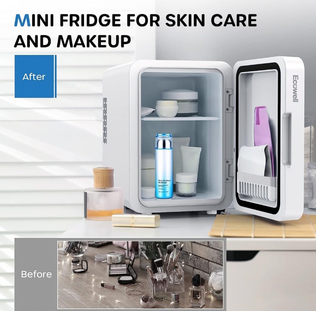 skin care fridge best christmas gift for a lady under $100