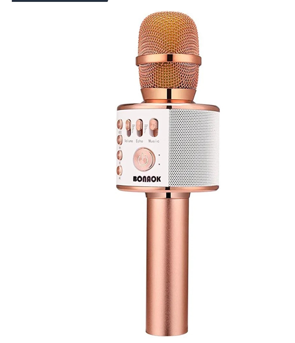 wireless bluetooth karaoke microphone best christmas gift for lady under $50