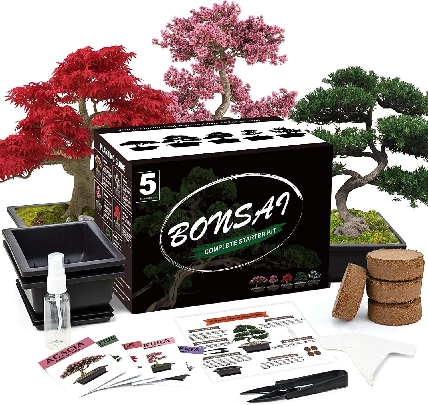 live bonsai tree by costa farms christmas gift ideas for female employees