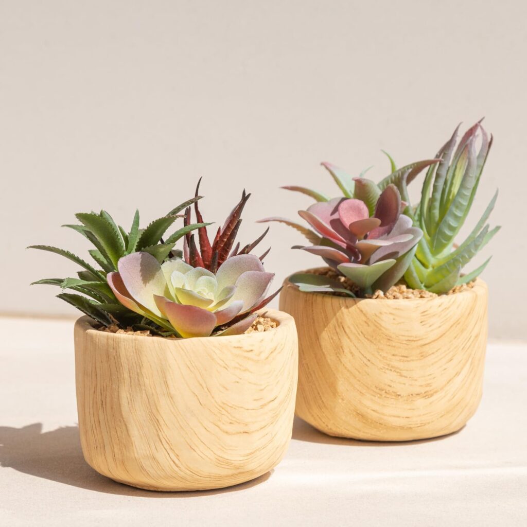 small potted plants or succulents top 30 small inexpensive gifts for ladies-complete buyer's guide (2023)